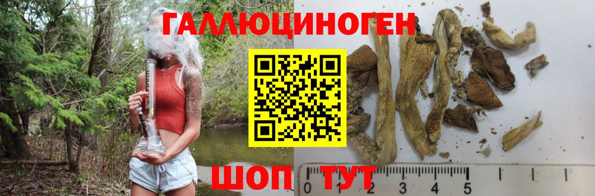 Галлюциногенные грибы MAGIC MUSHROOMS Горно-Алтайск